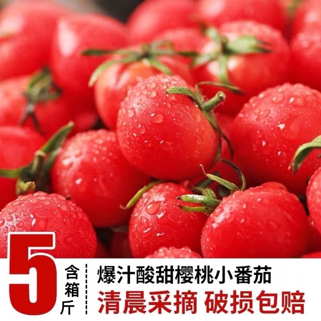 5斤重千禧圣女果