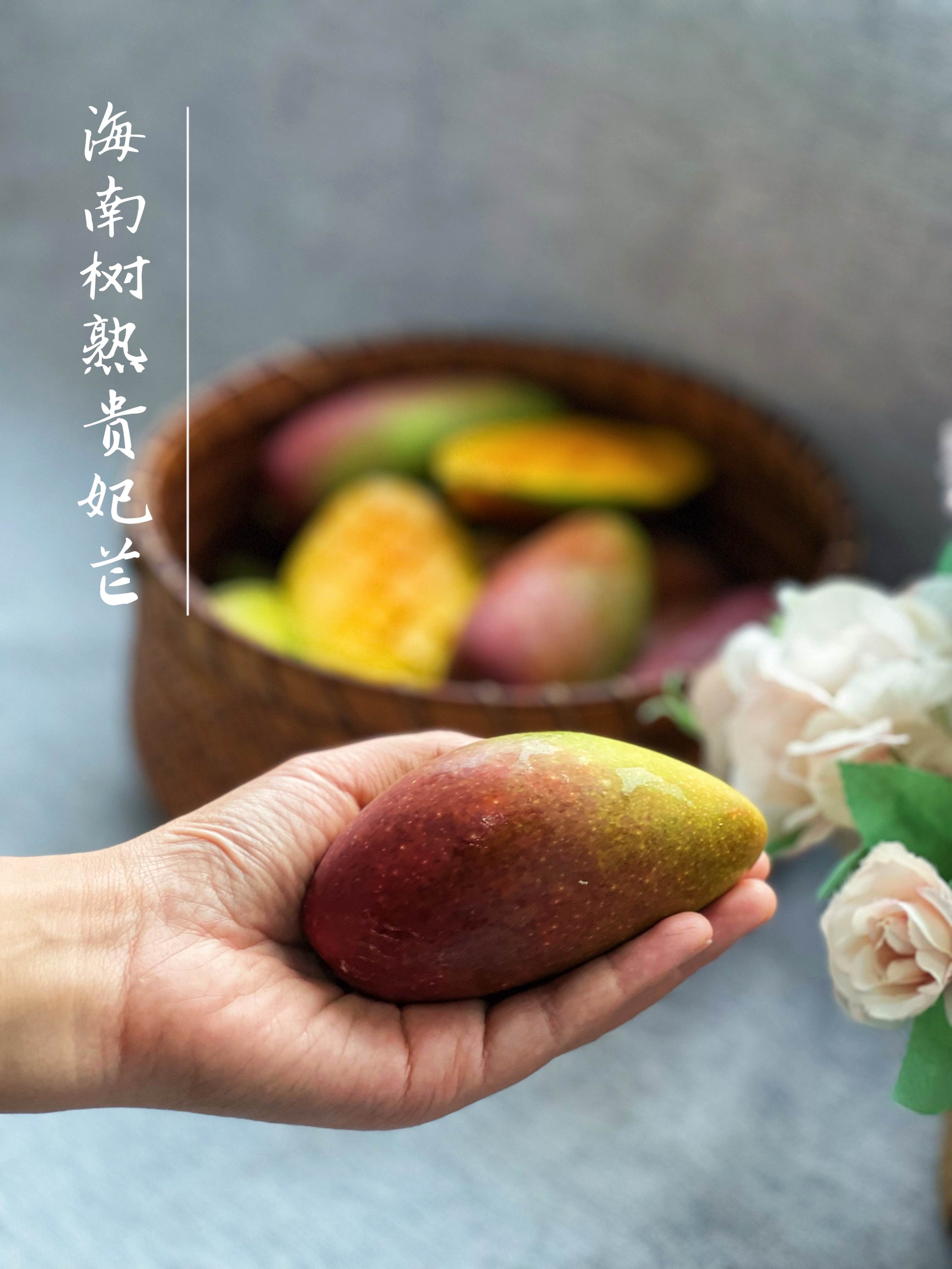 海南树上熟贵妃芒