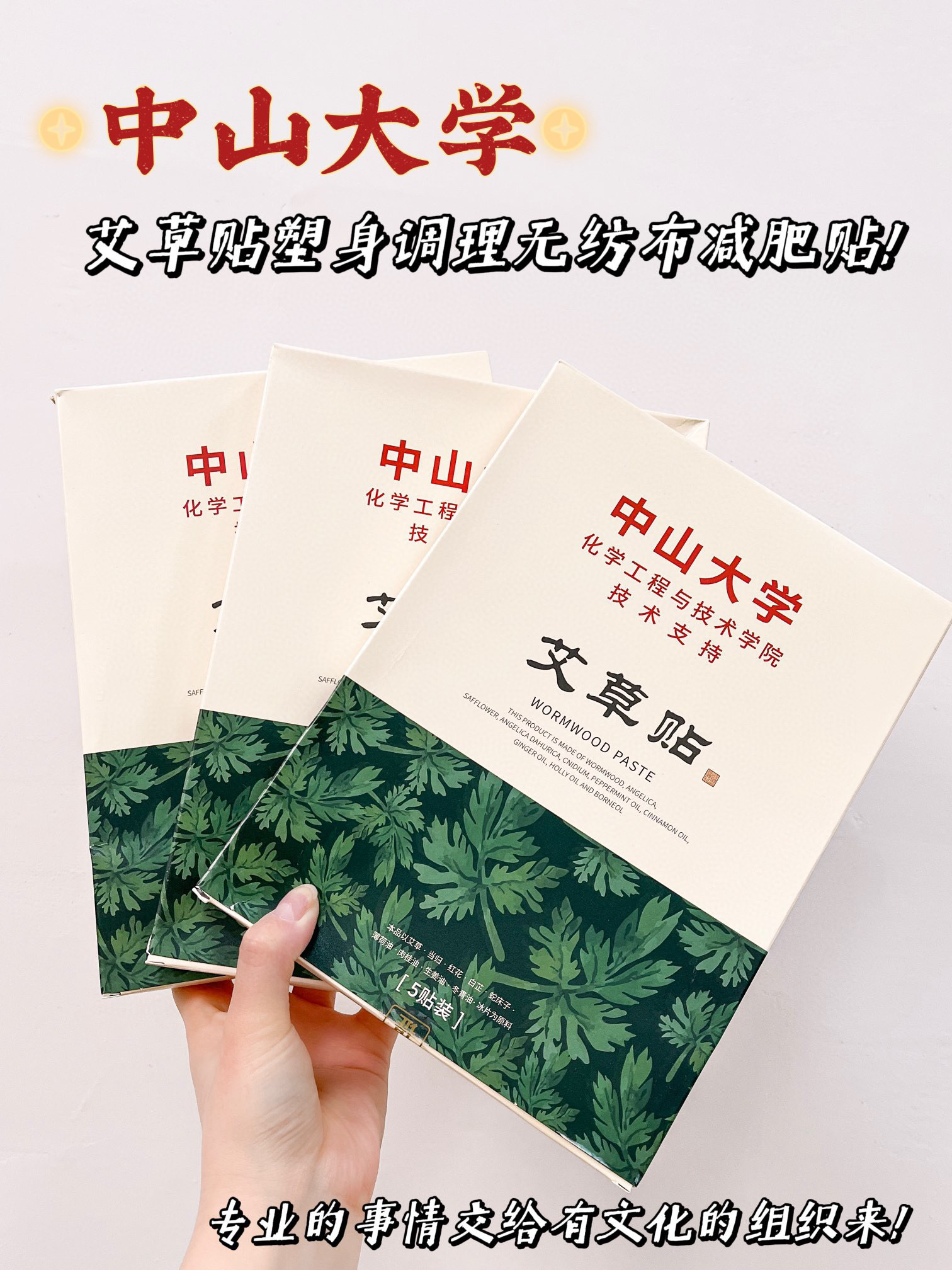 中山大学艾草贴