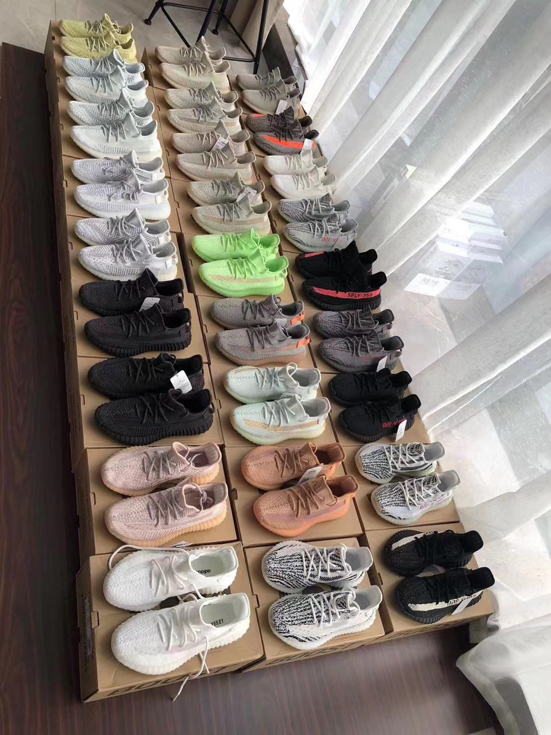 椰子【公版350】