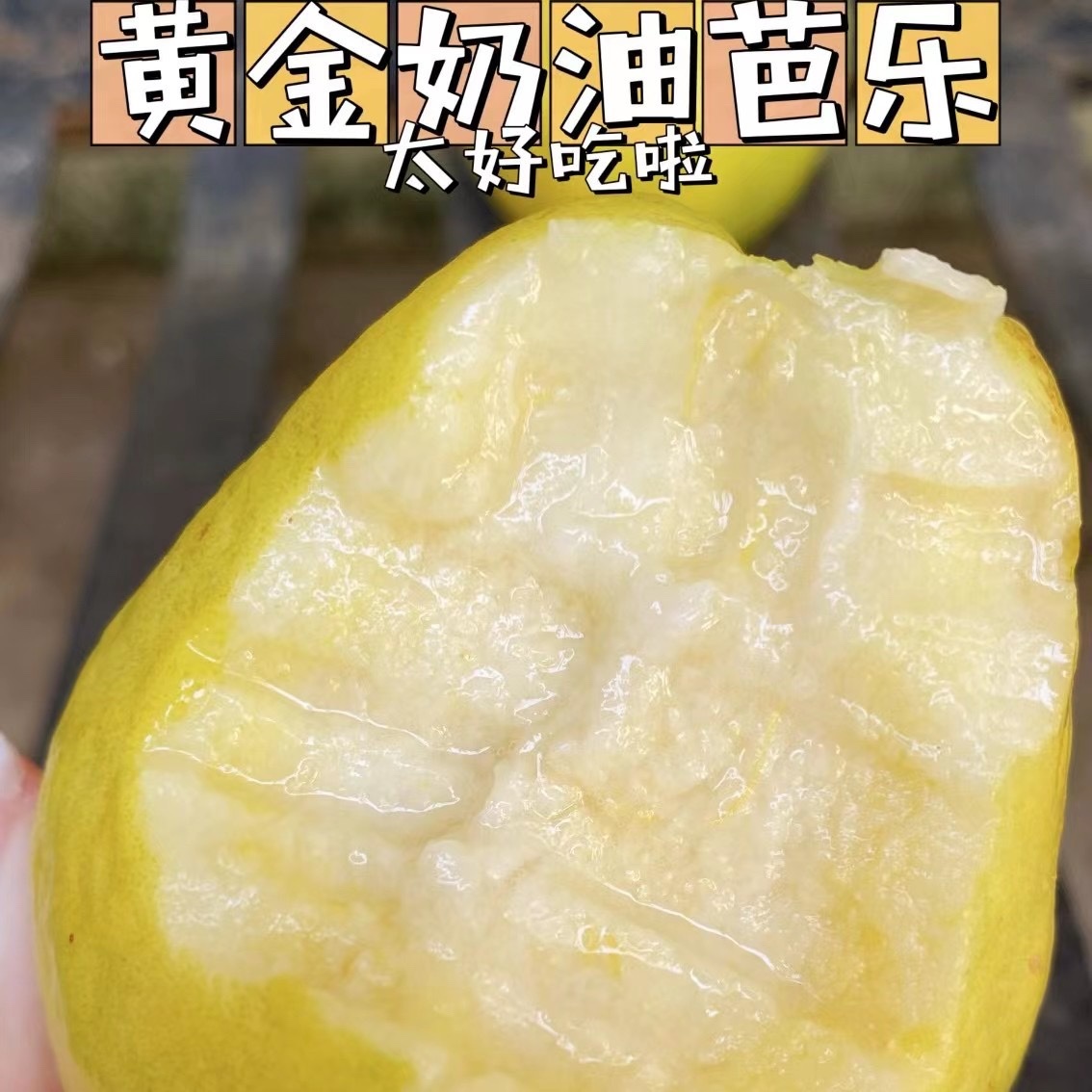 黄金奶油芭乐