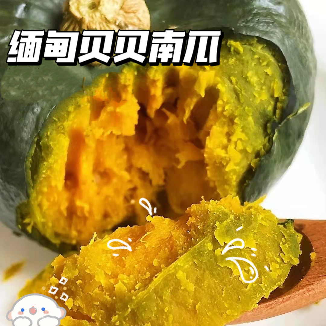 缅甸贝贝南瓜