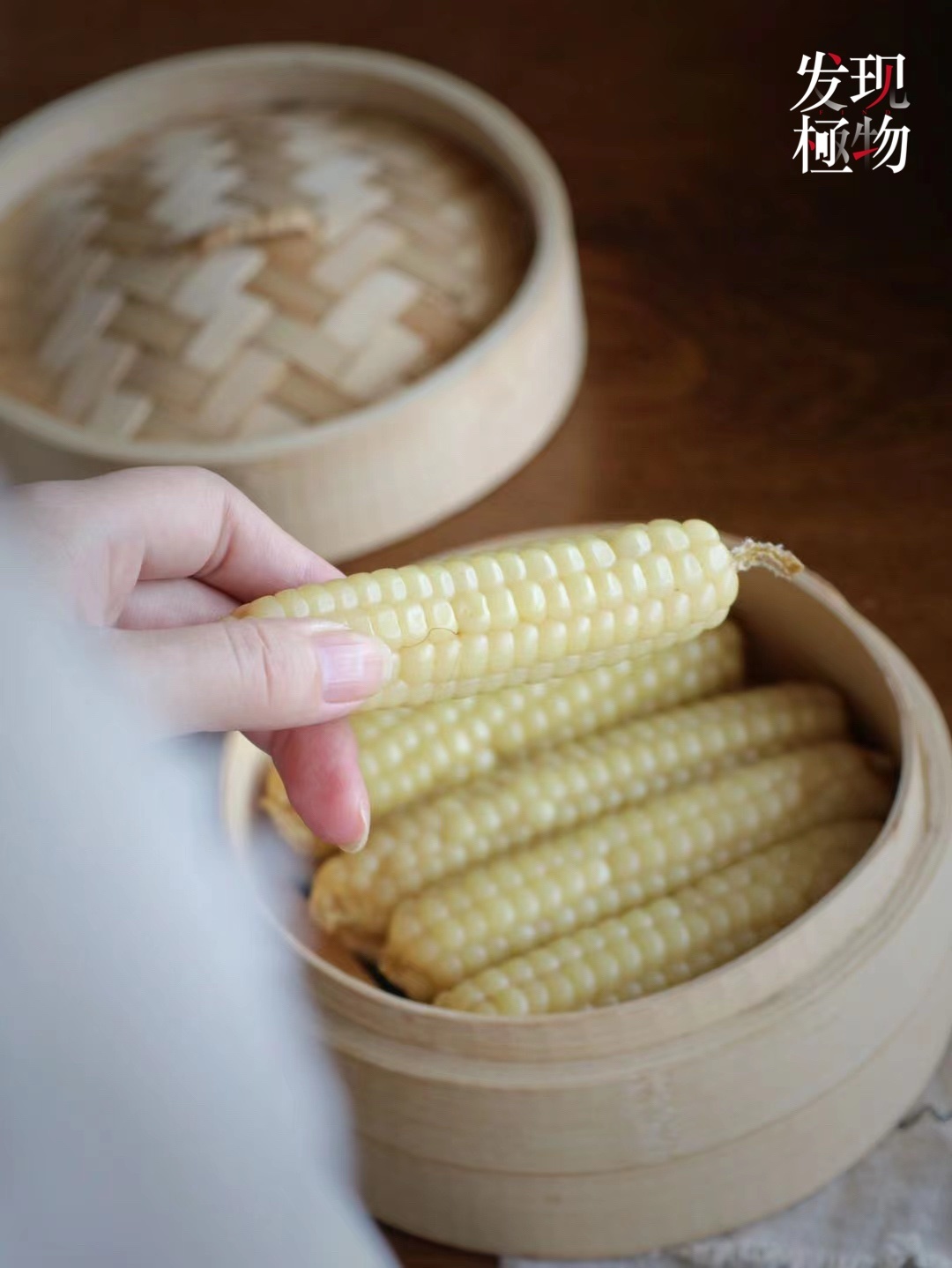 西双版纳拇指小玉米