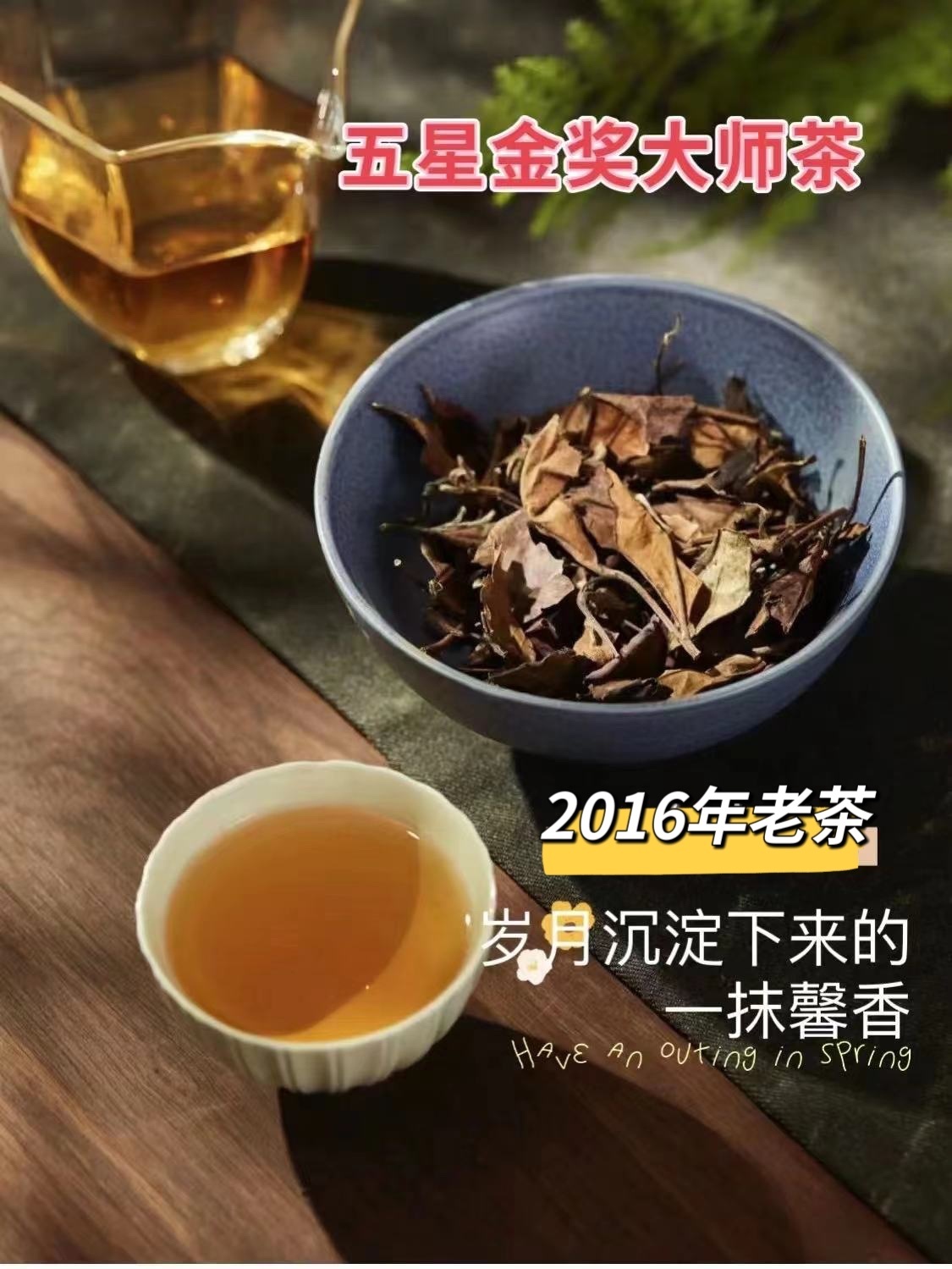 6年陈/福鼎太姥山寿眉