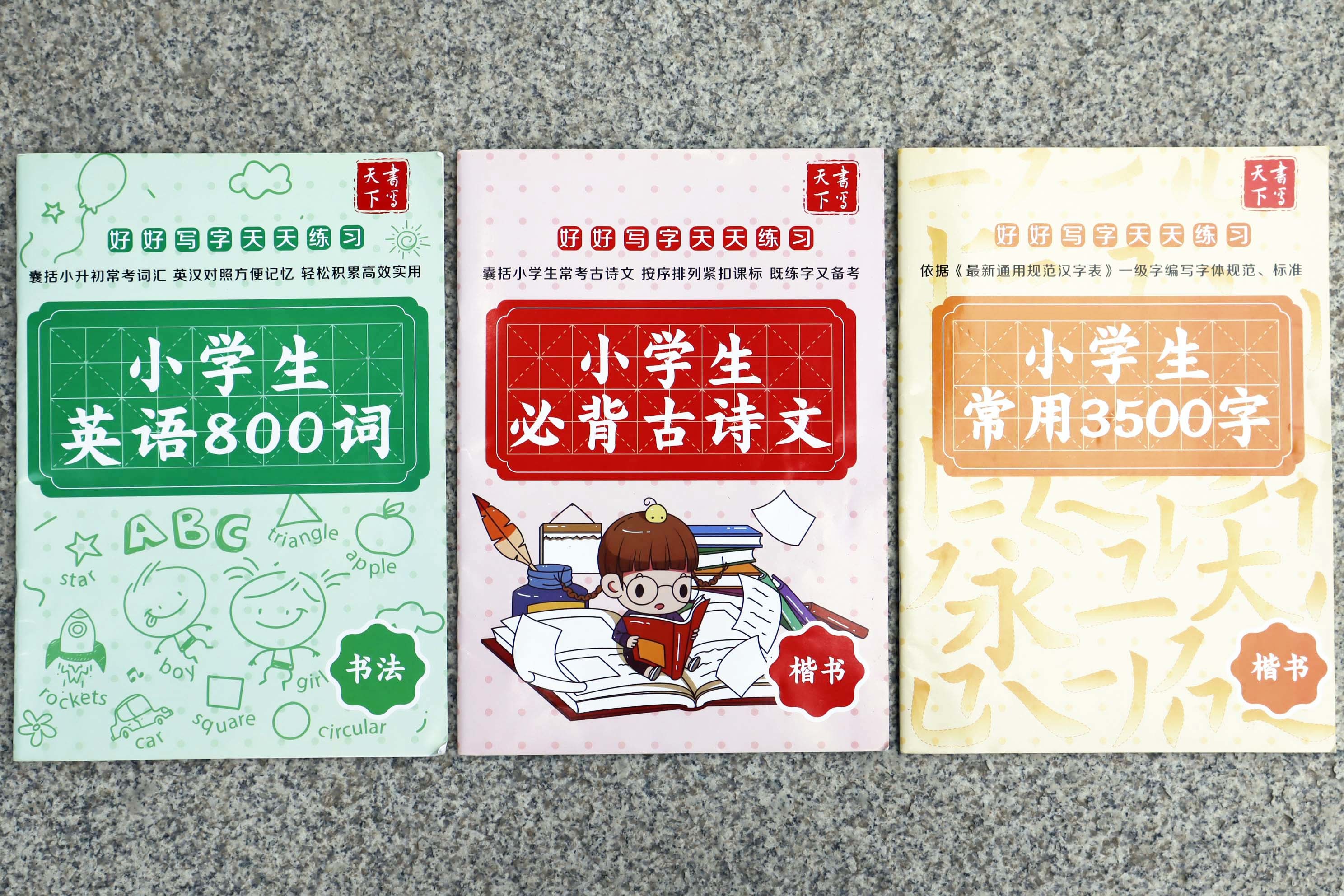 正版《小学生练字帖》