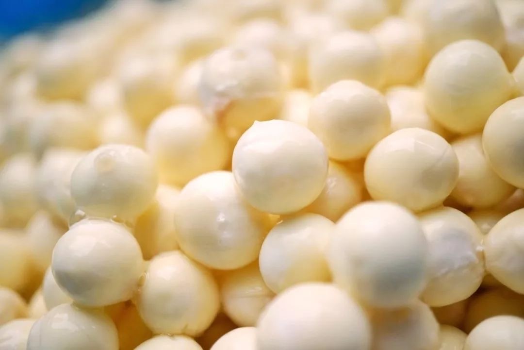 新鲜苏芡鸡头米