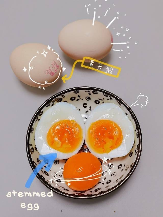 黄天鹅可生食鸡蛋