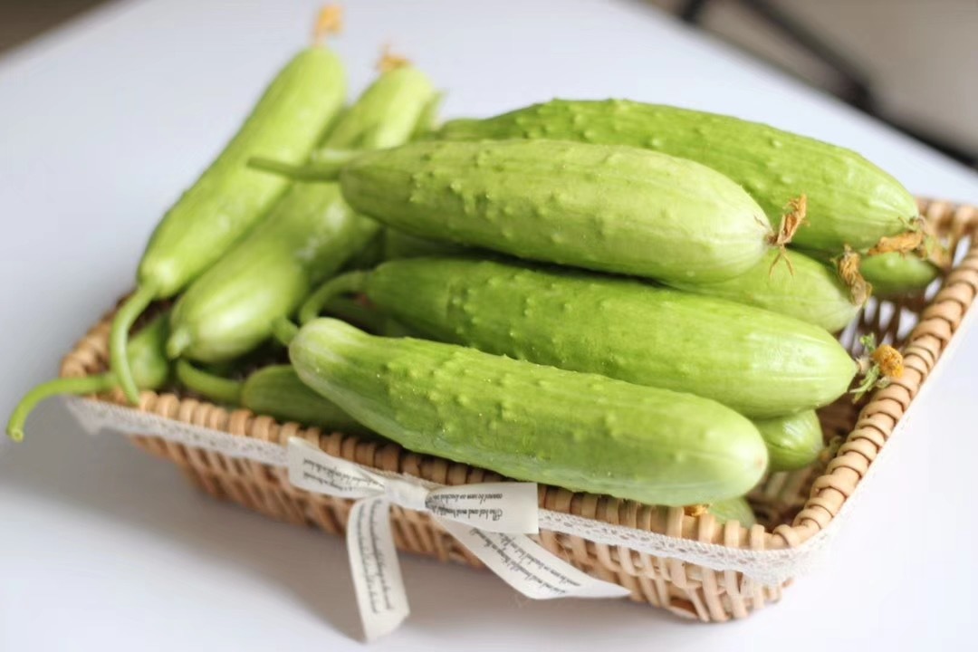 白玉黄瓜