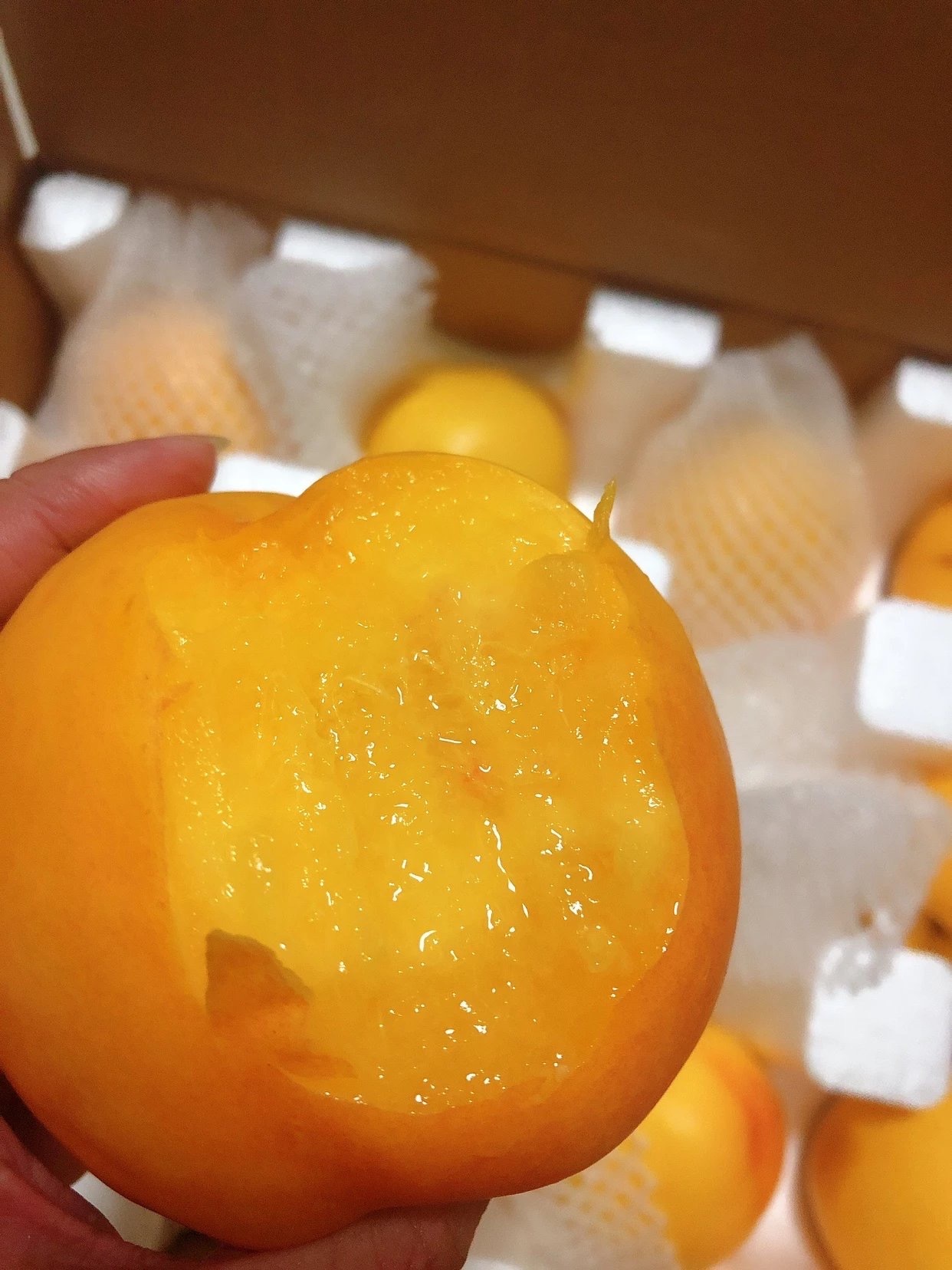 丹东黑土地黄金油桃