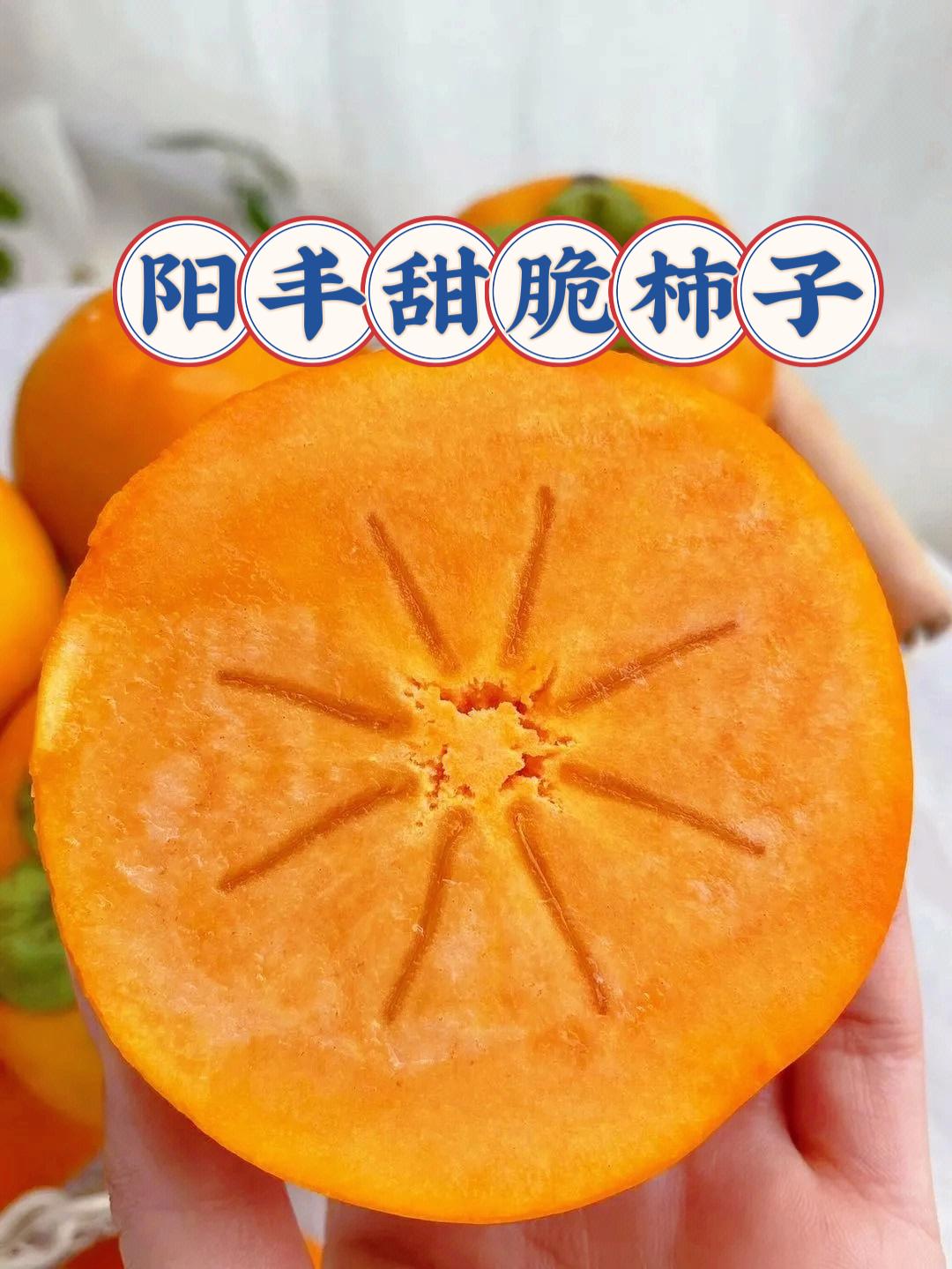 阳丰甜脆柿子