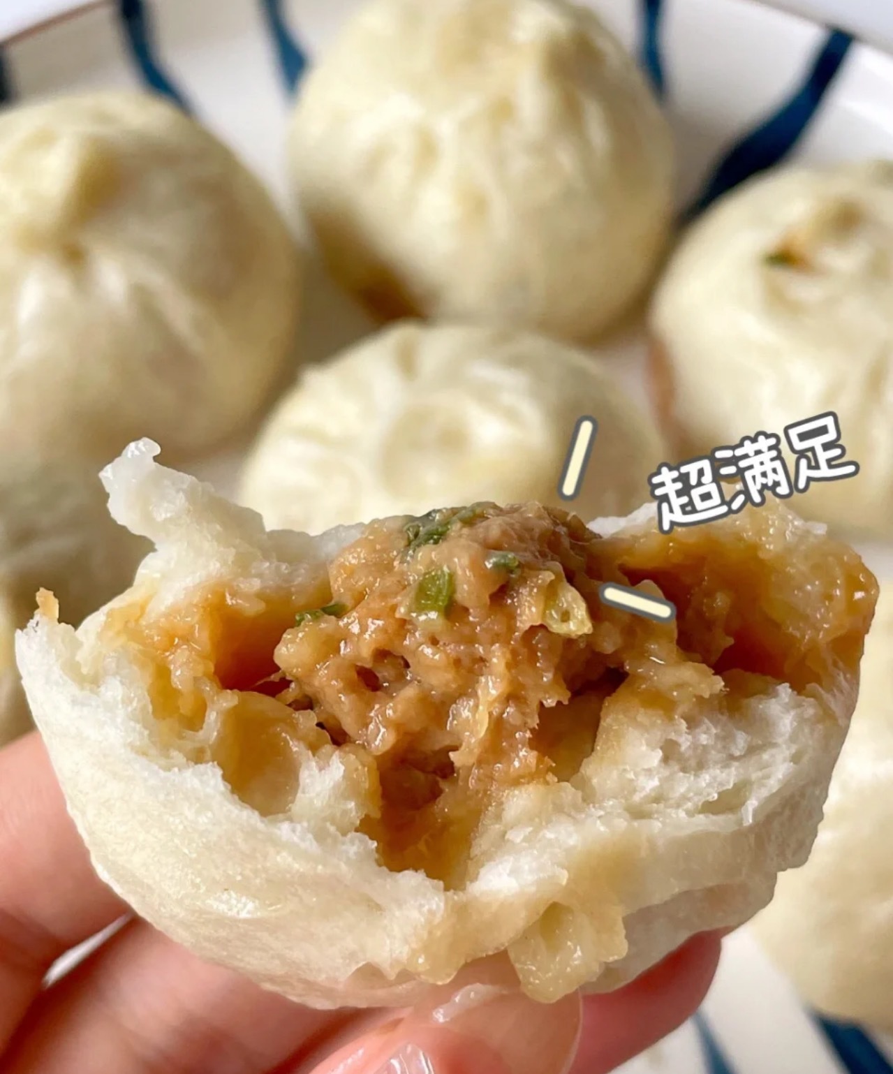 黑猪肉馅小笼包