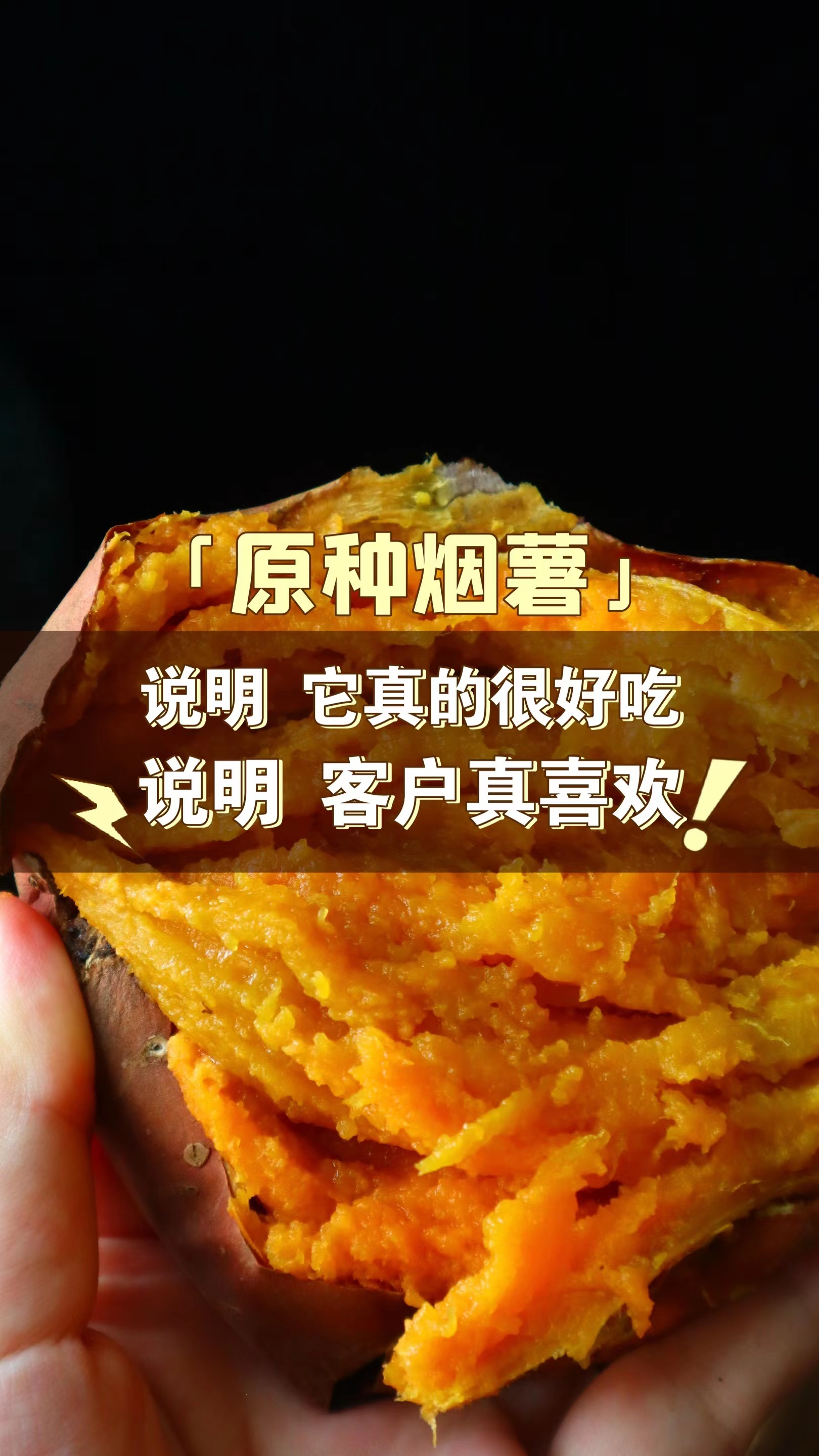 原种烟薯25号宝宝果