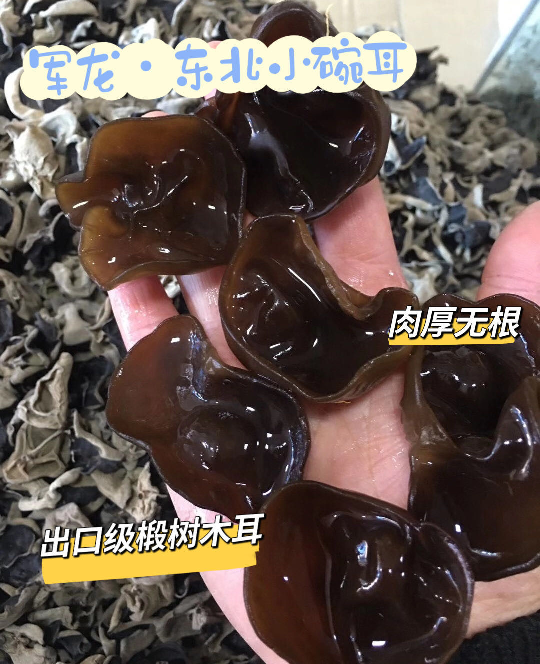 东北小碗木耳