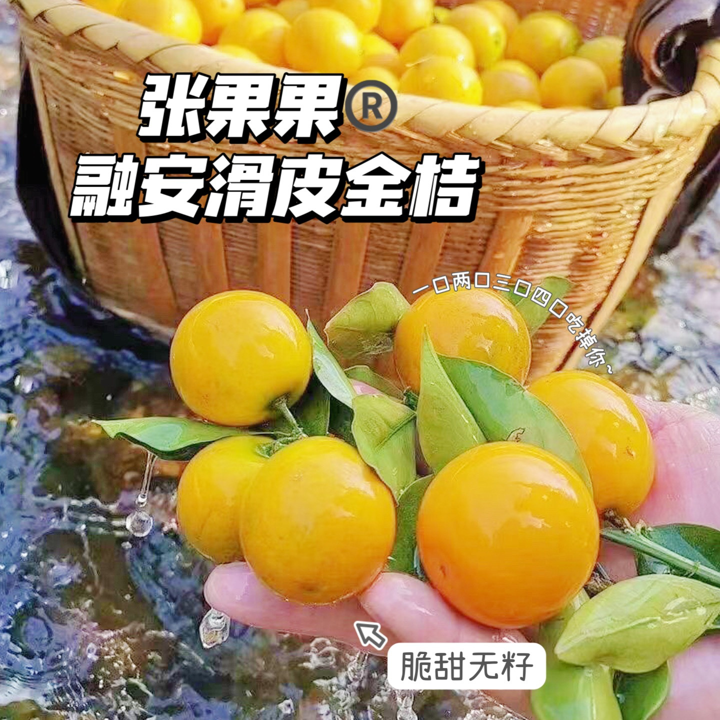 张果果融安金桔