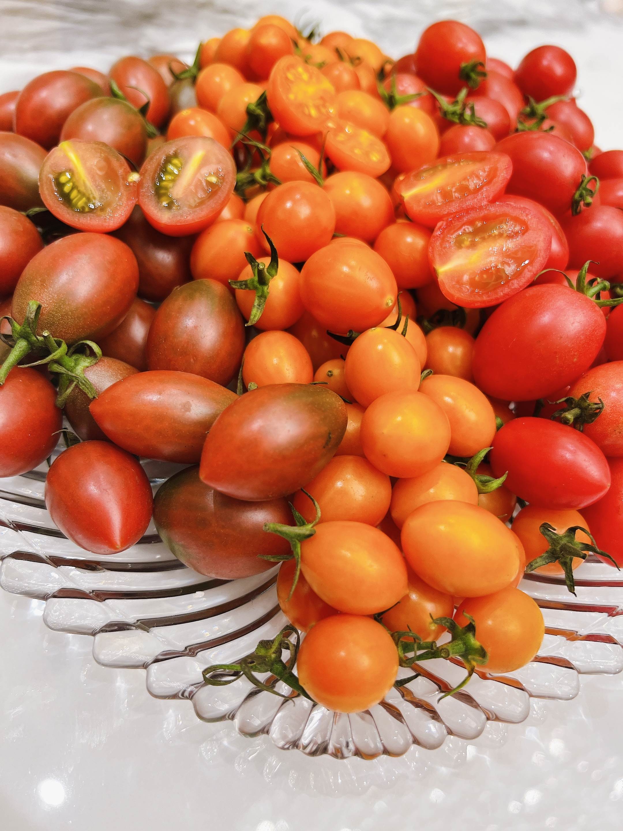 原野三色小番茄