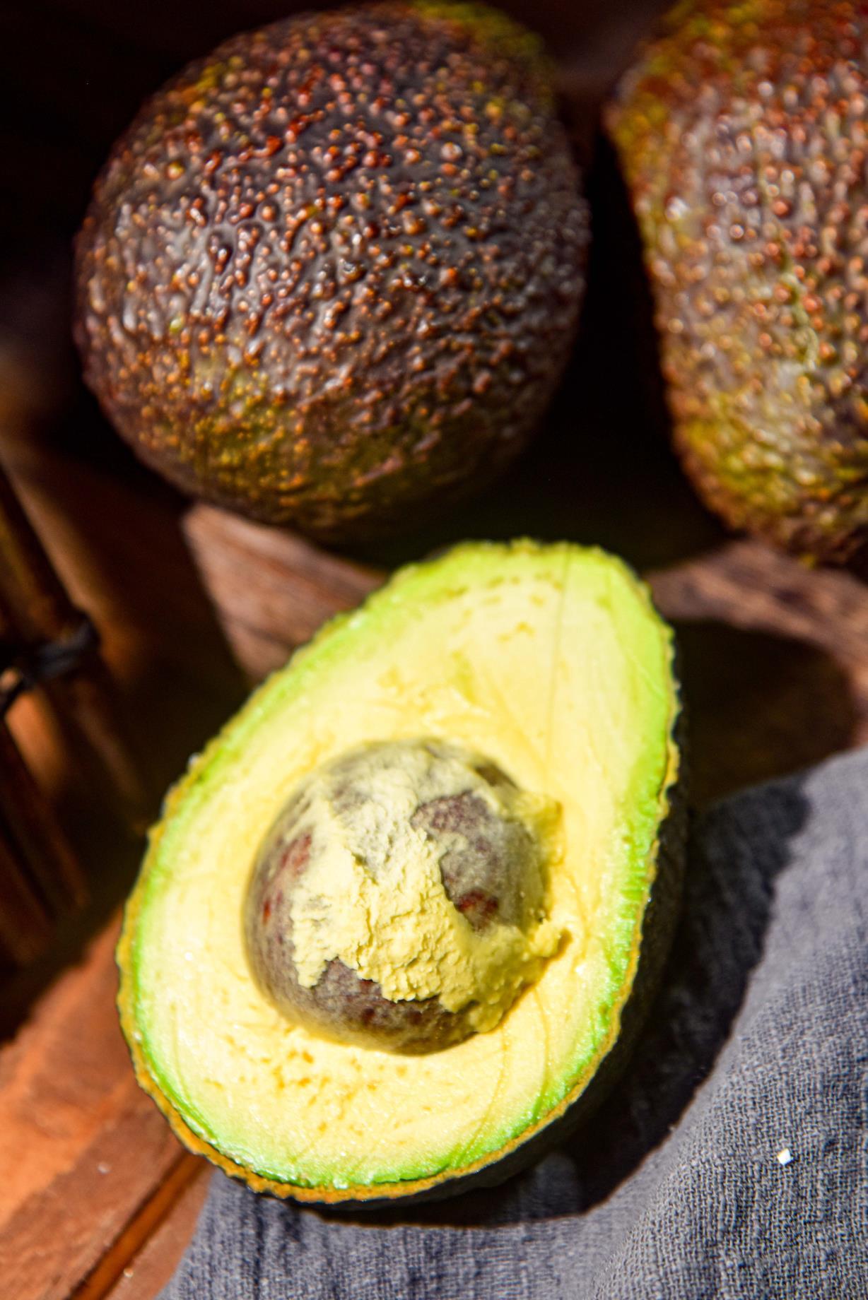 云南孟连绿银庄园牛油果