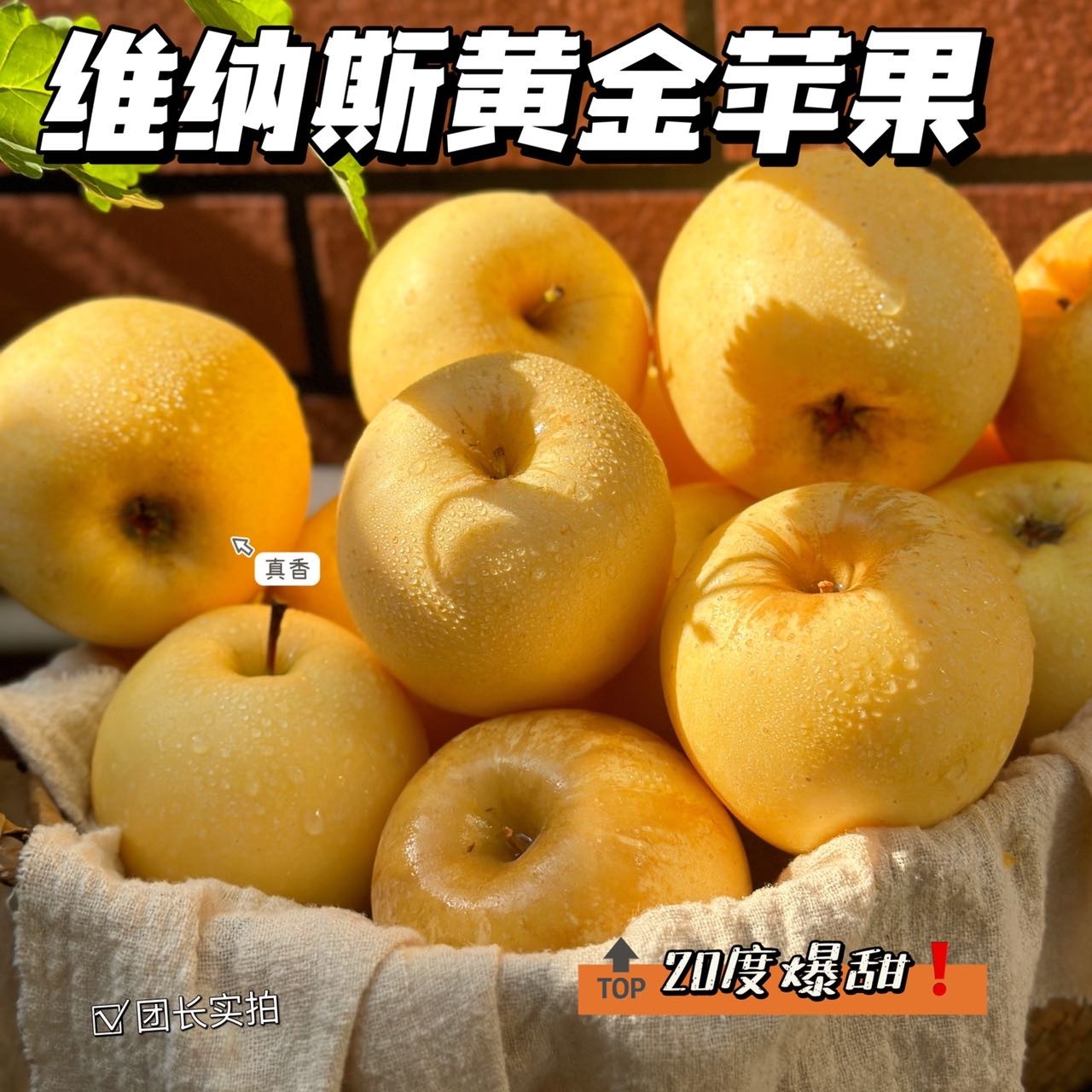 维纳斯黄金苹果