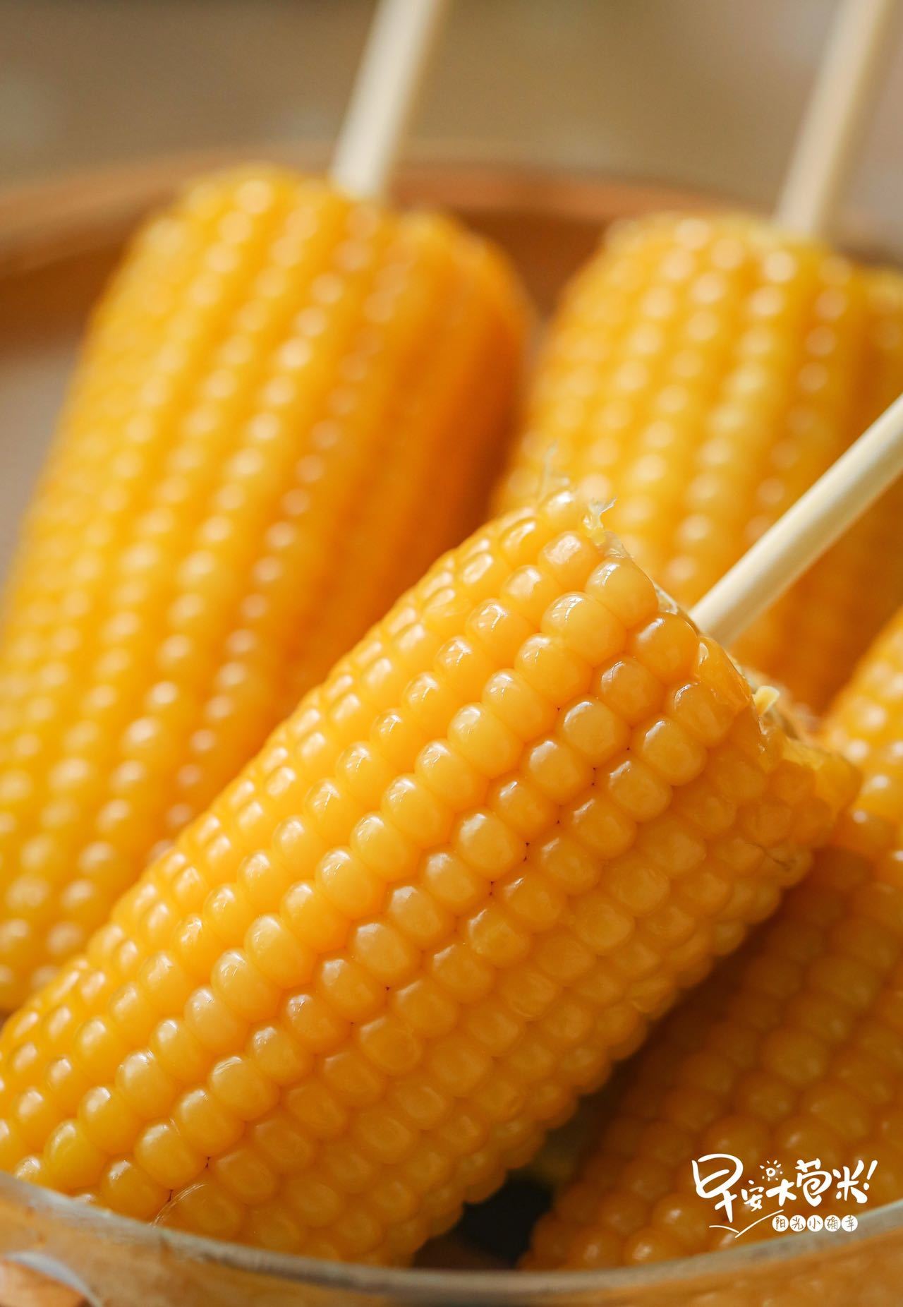 早安大苞米