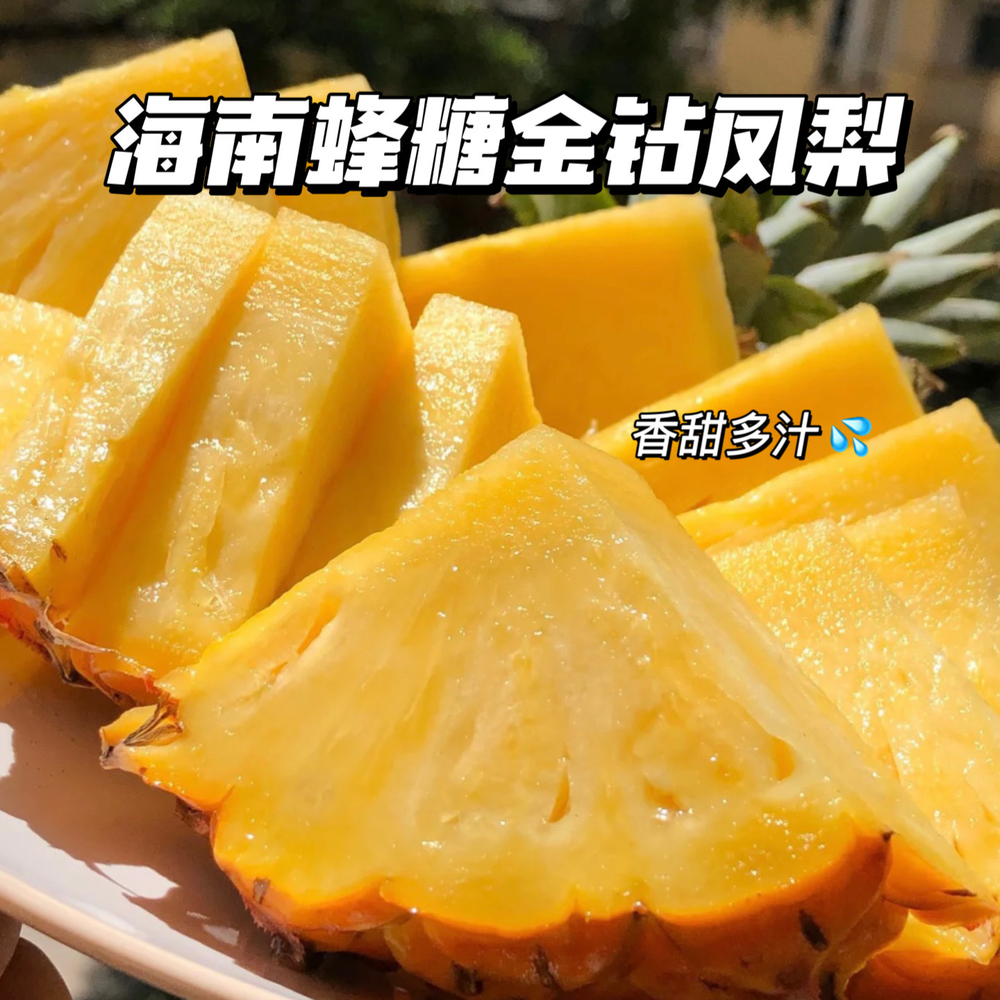 海南蜂糖金钻17号凤梨