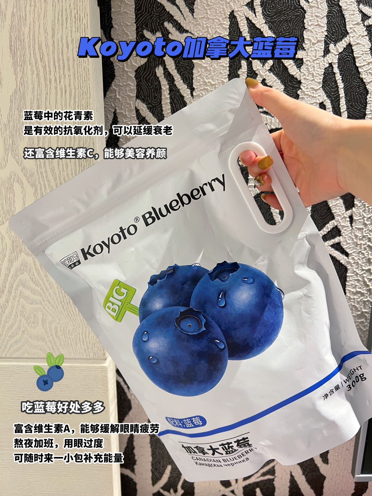 koyoto·加拿大蓝莓干