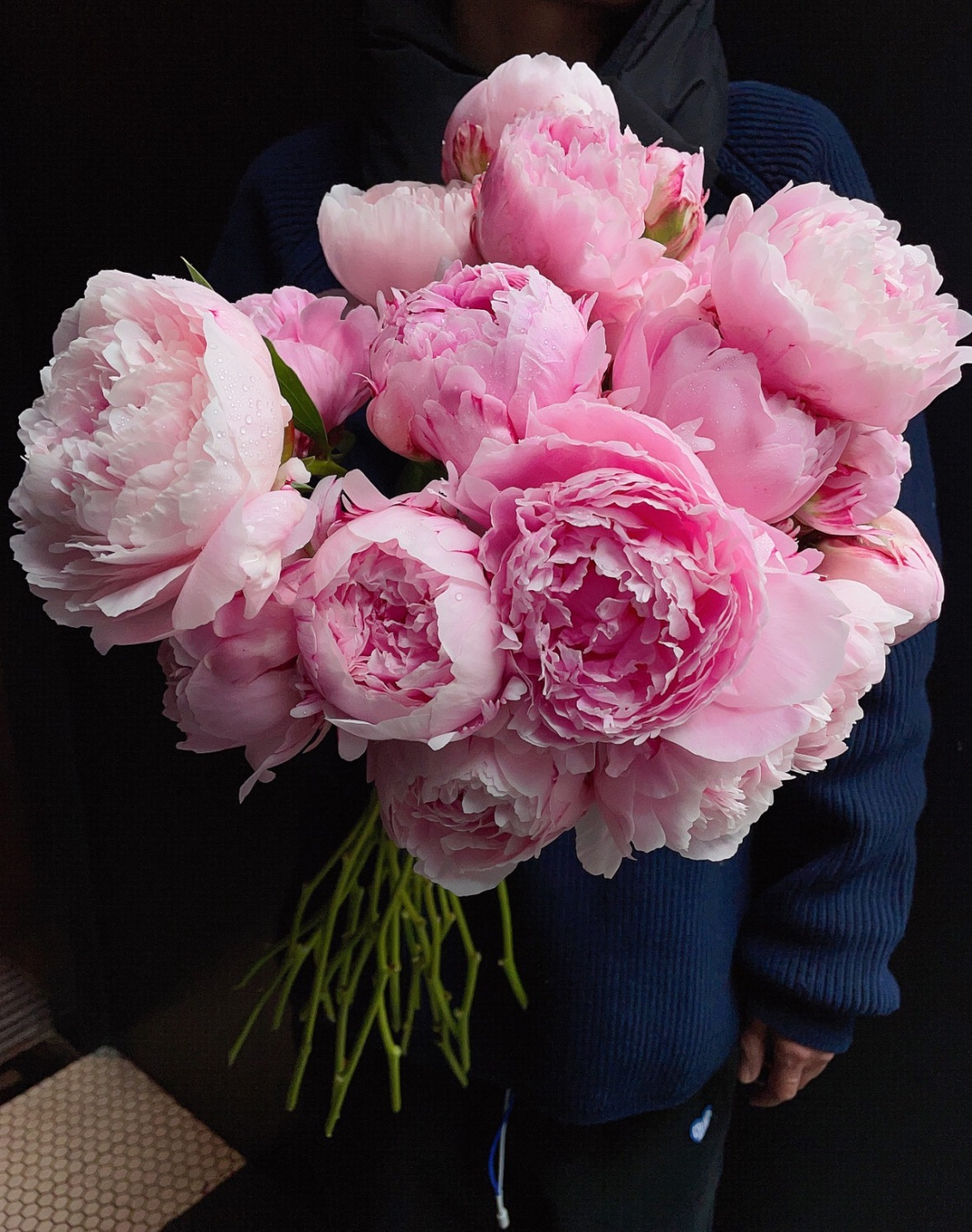 芍药基地现切现发