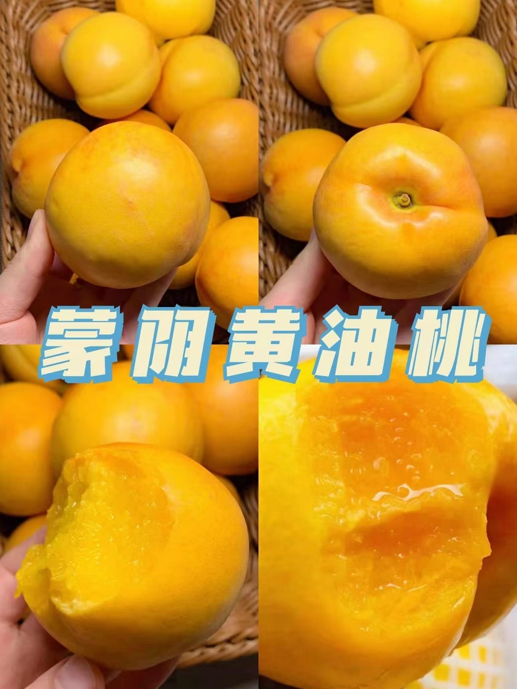 露天蒙阴黄金油桃