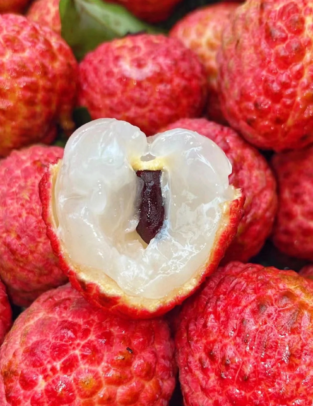 大井老树桂味富硒高州荔枝