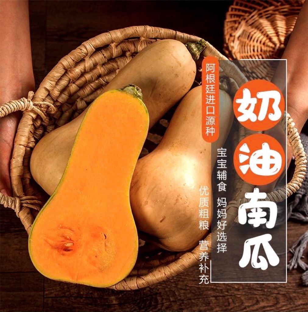 阿根廷奶油南瓜