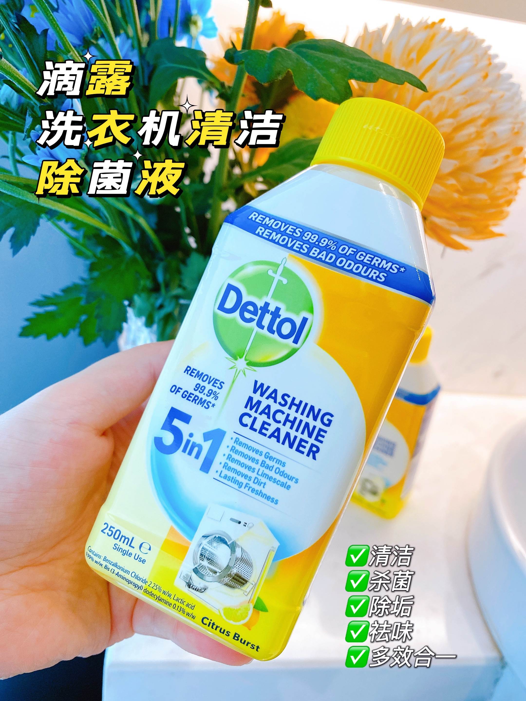 滴露洗衣机清洁除菌液