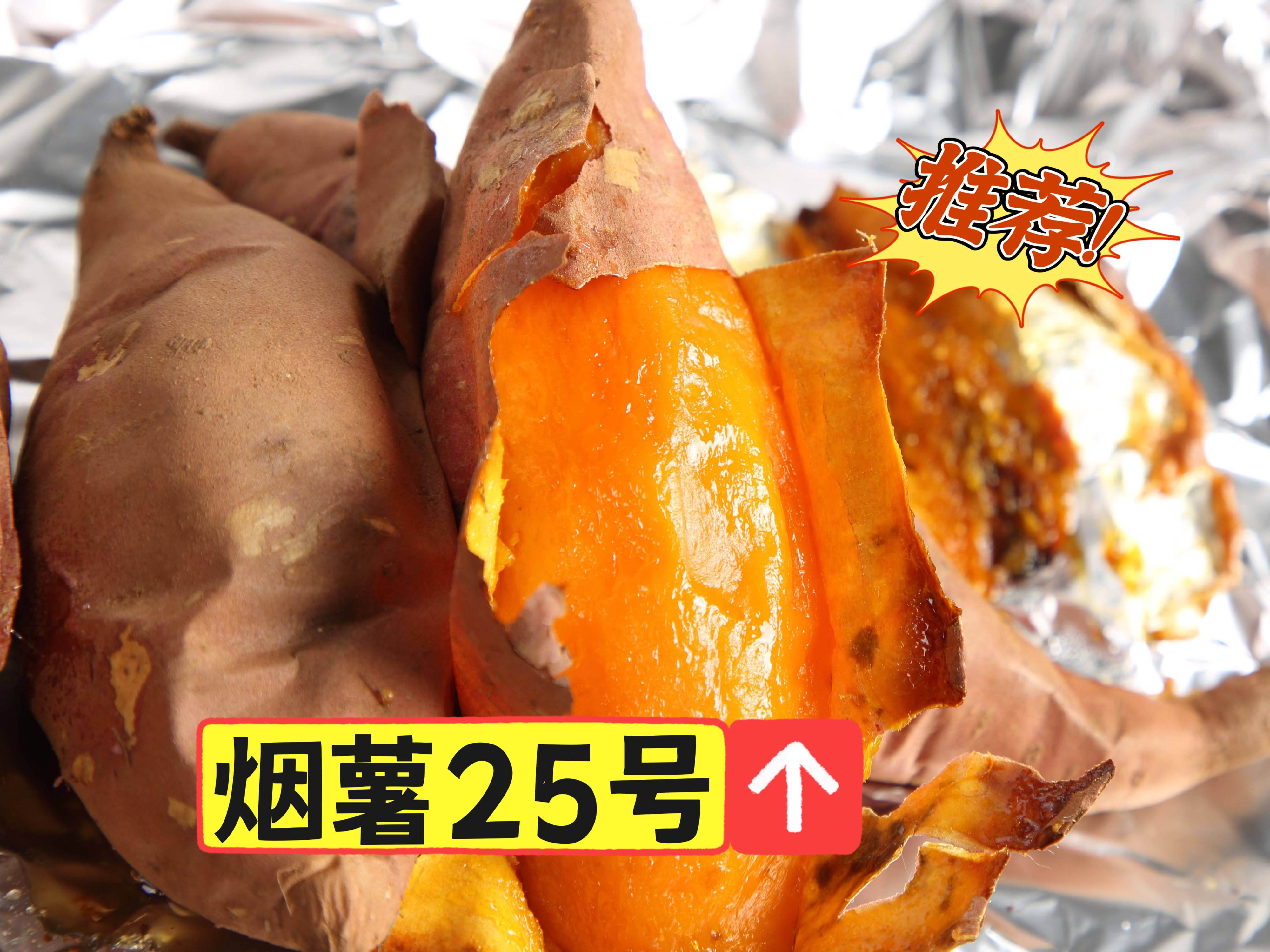 烟薯25号