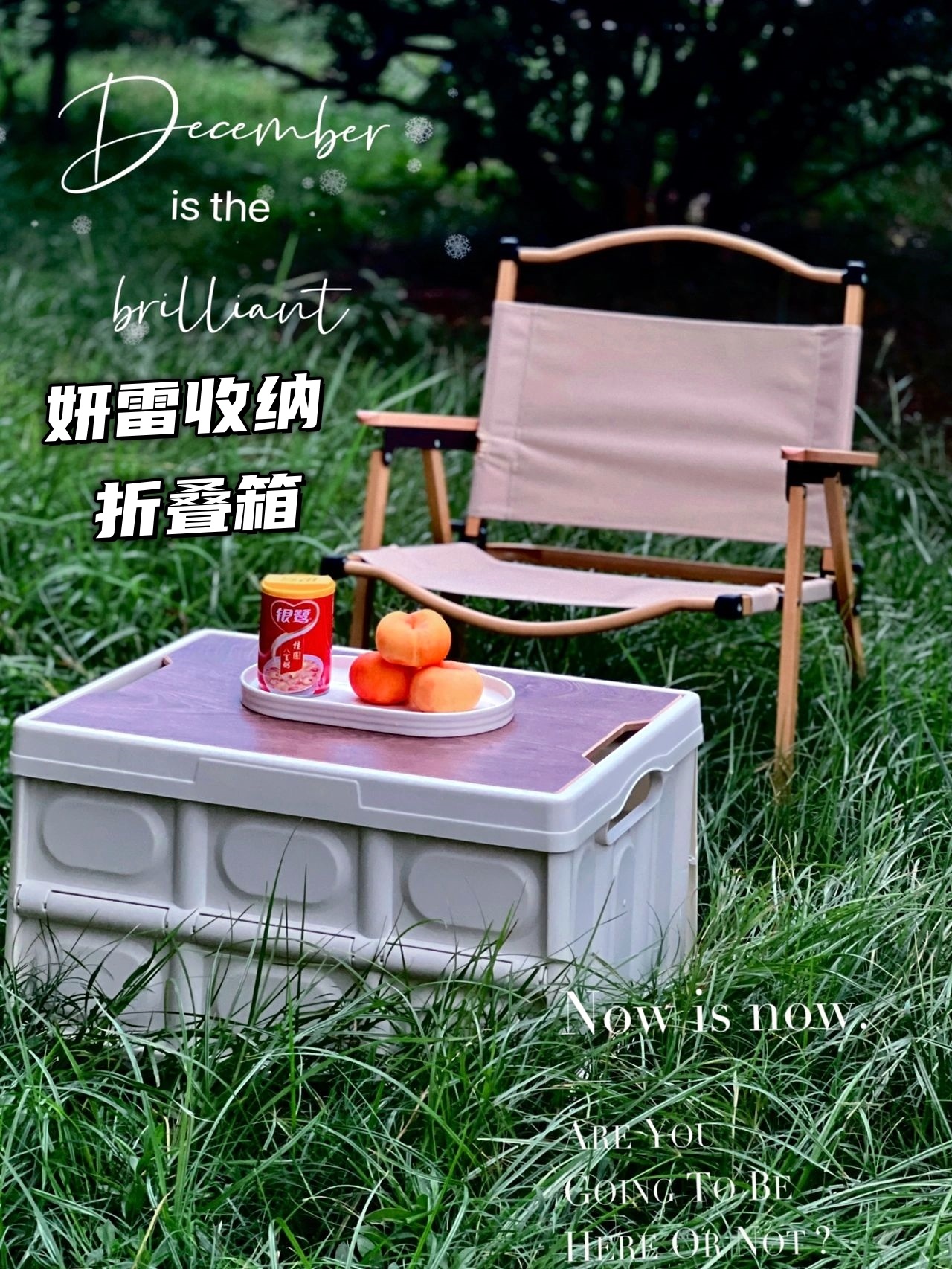 妍雷收纳折叠箱