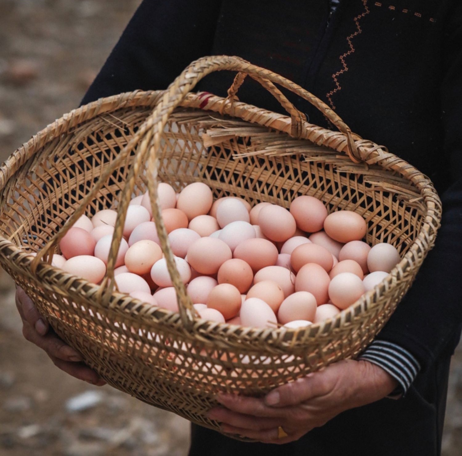 九华山富硒散养土鸡蛋