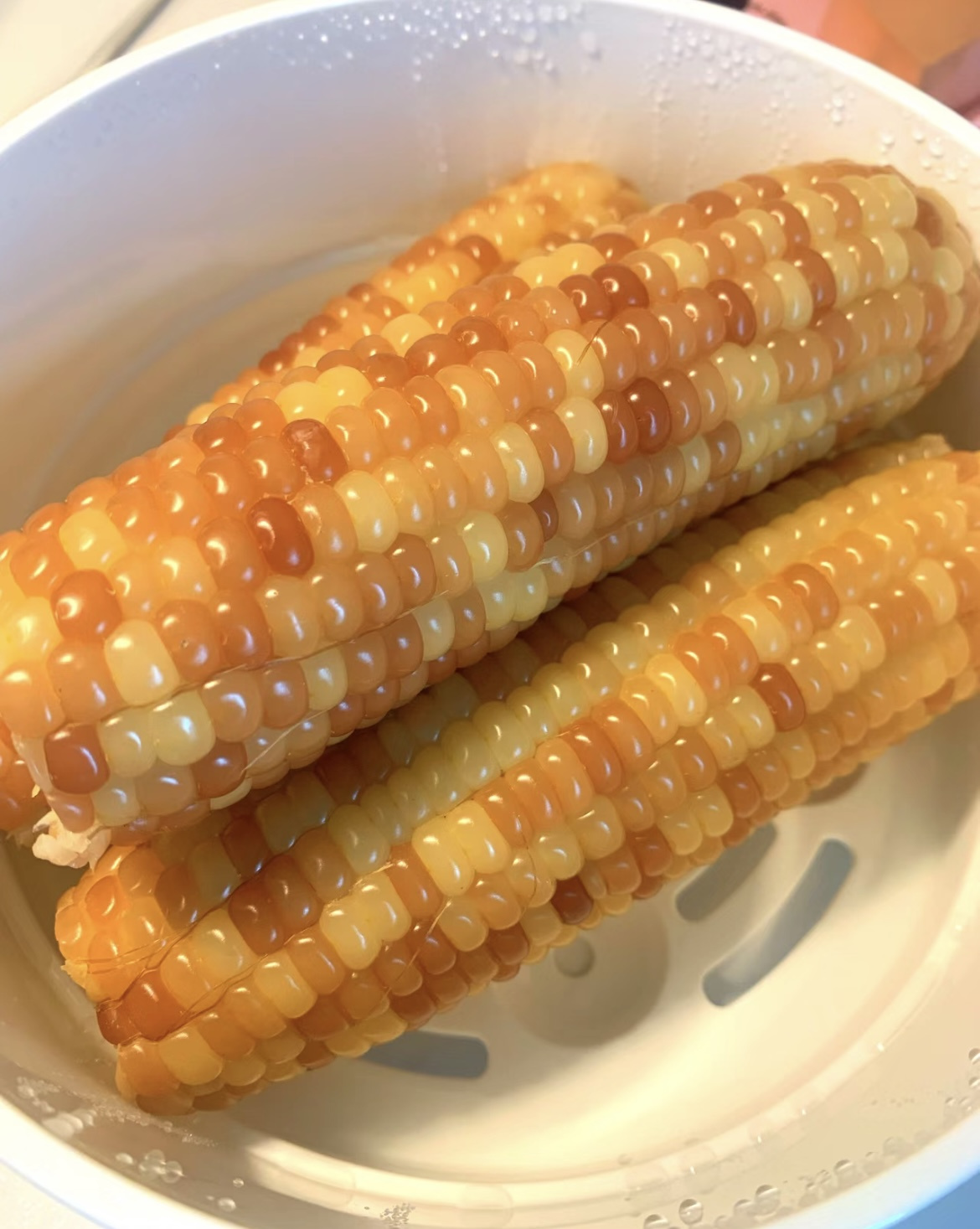 夕琳甄选西双版纳香糯小玉米