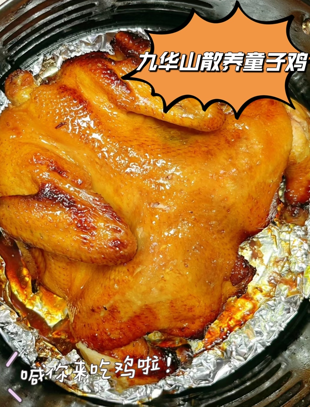 九华山正宗散养童子鸡