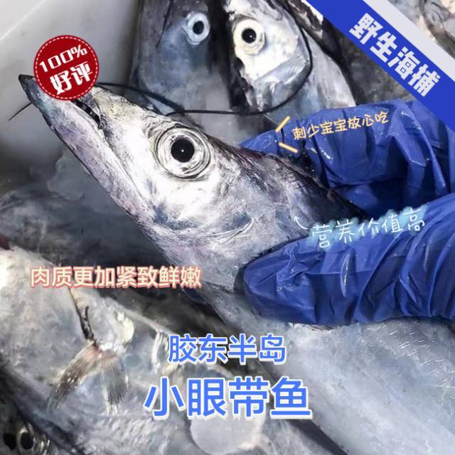 深海小眼野生带鱼