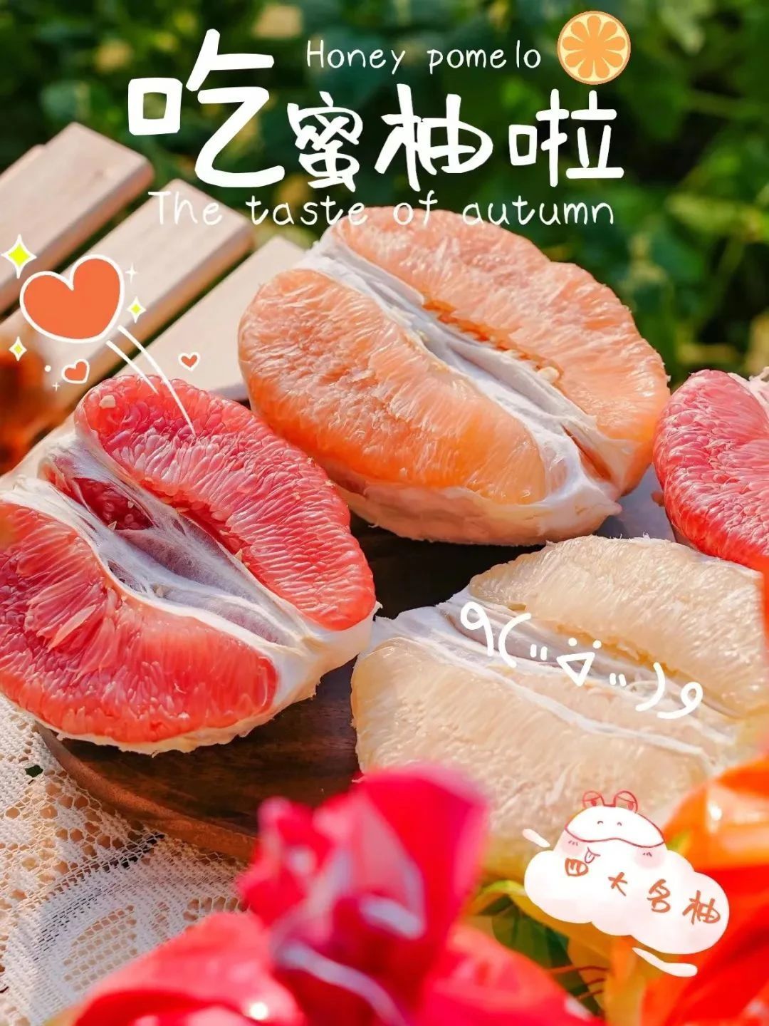 福建琯溪四大名柚