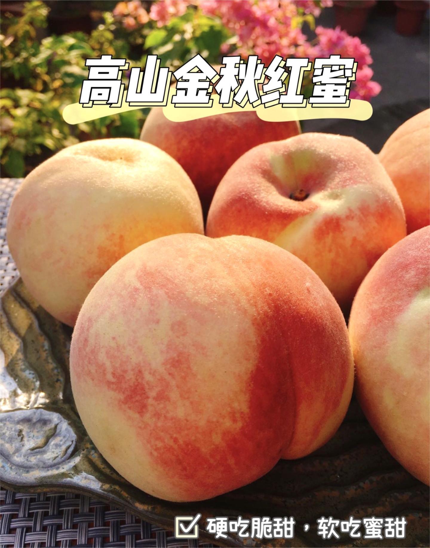 高山•金秋红蜜